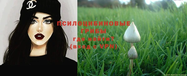 прущая мука Абаза