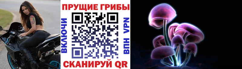 OMG как войти  Абинск  Псилоцибиновые грибы Psilocybine cubensis 